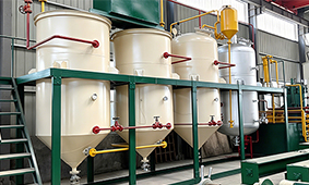 50 TPD Rubber Seed Oil Plant Cost