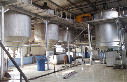 Palm Oil Production Line