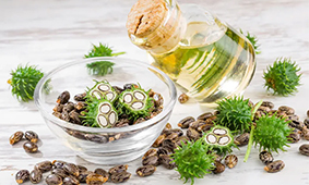 Castor Oil Refining Plant