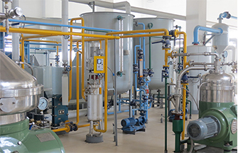 Cottonseed Oil Production Line