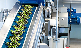 Olive Pomace Oil Extraction Plant