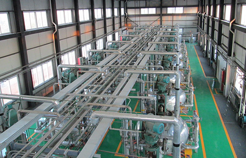 Biodiesel Production Line