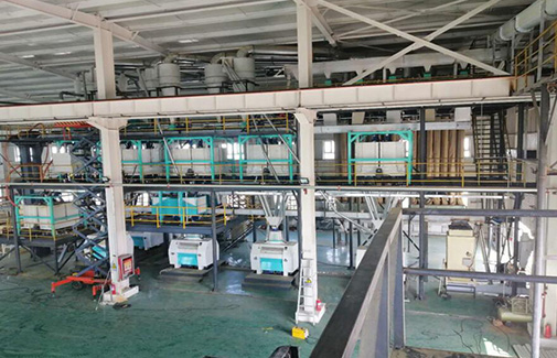 Cottonseed Protein Production Line