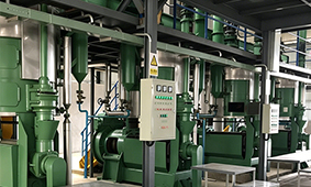 Rubber Seed Oil Processing Plant